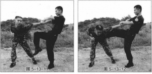 图片250