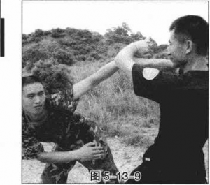 图片248