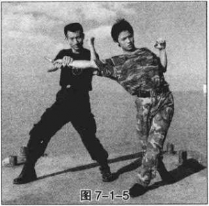 图片30