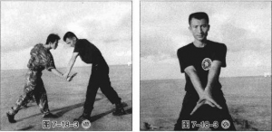 图片86