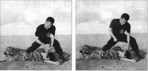 图片89