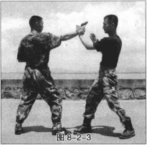 图片95