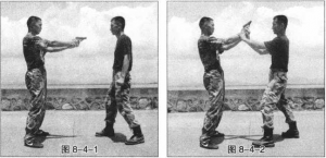 图片100