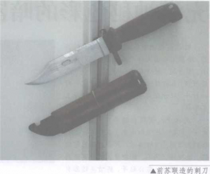 图片24