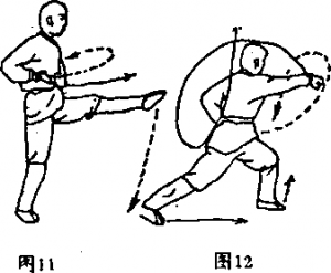 图片19