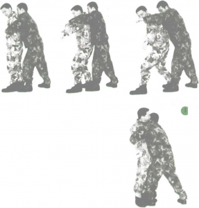 图片1
