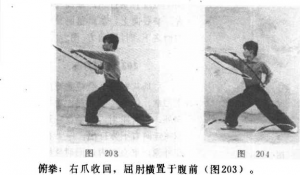 图片97