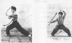 图片100