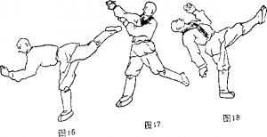 图片8