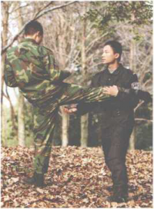 图片32