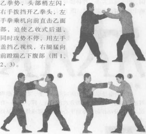 图片8
