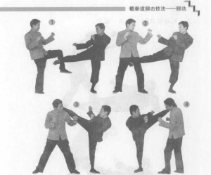 图片7