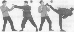 图片15