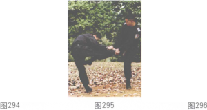 图片25