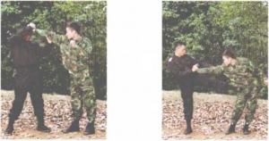 图片33