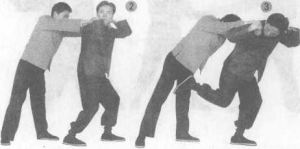 图片101