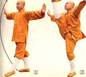图片28