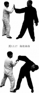 图片14