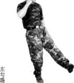 图片45