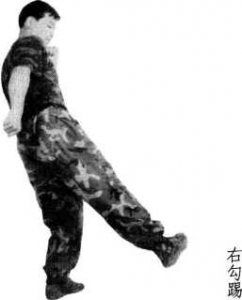 图片46