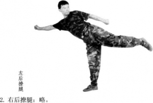 图片48
