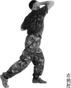 图片52