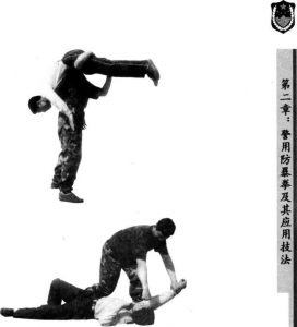图片147