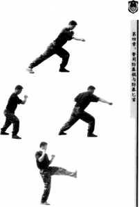 图片244