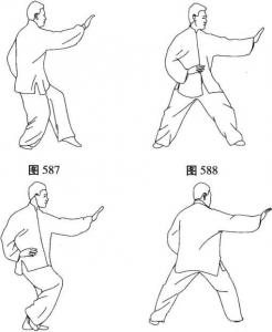 图片146