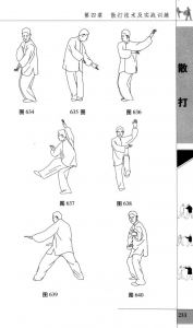 图片169
