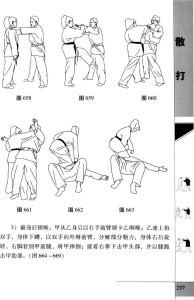 图片175