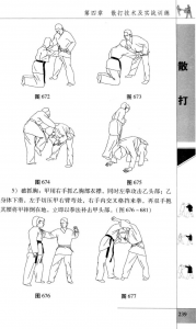 图片177
