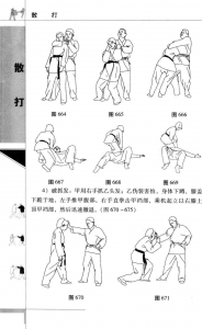 图片176