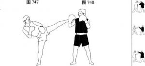 图片224