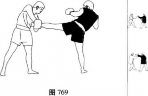 图片236