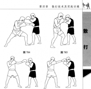 图片245