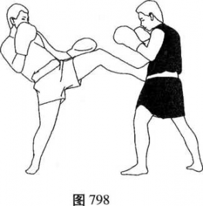 图片252