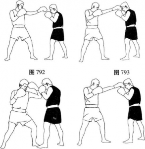 图片249