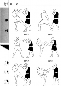 图片269