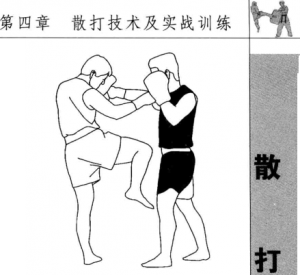 图片284