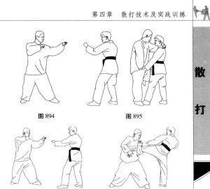 图片300