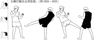 图片367
