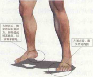 图片20