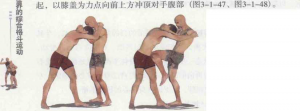 图片131
