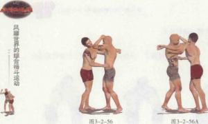 图片43