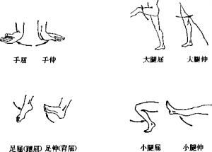 图片5