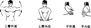 图片8
