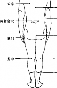 图片11