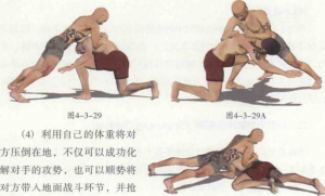 图片216