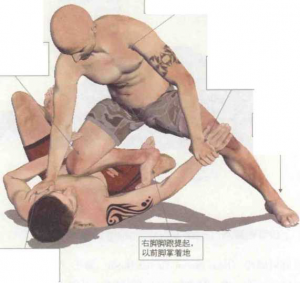 图片6